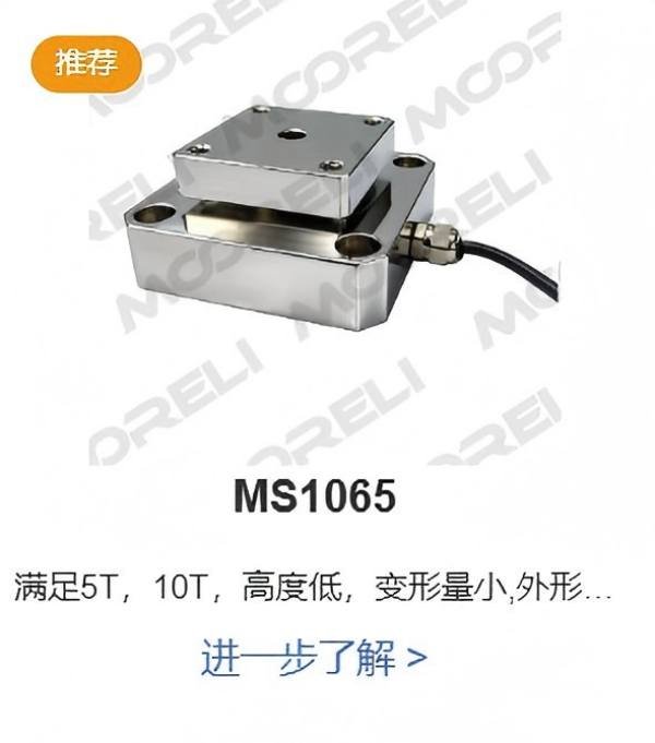 摩尔力 压式结构ms1065